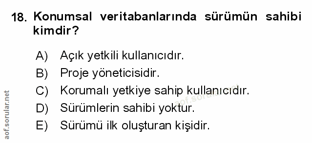 Soru 18