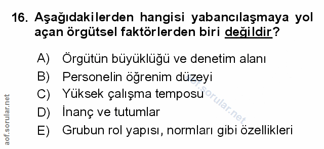 Soru 16