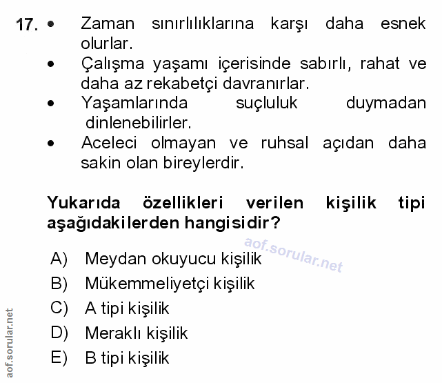 Soru 17