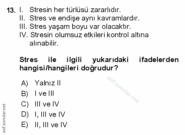 Soru 13