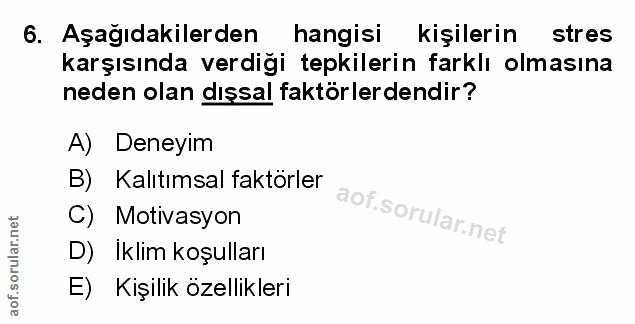Soru 6