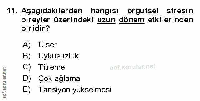Soru 11