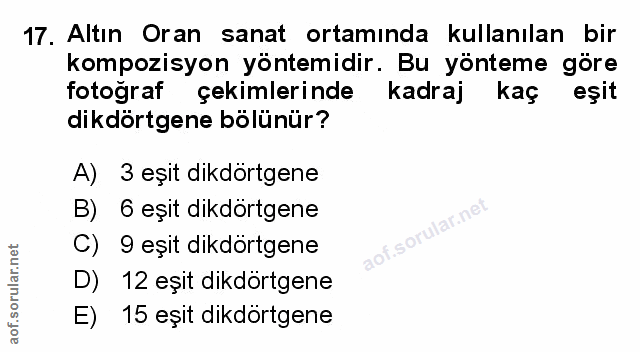 Soru 17