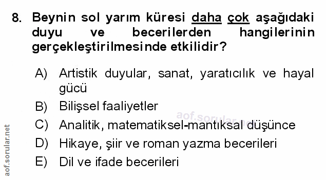 Soru 8