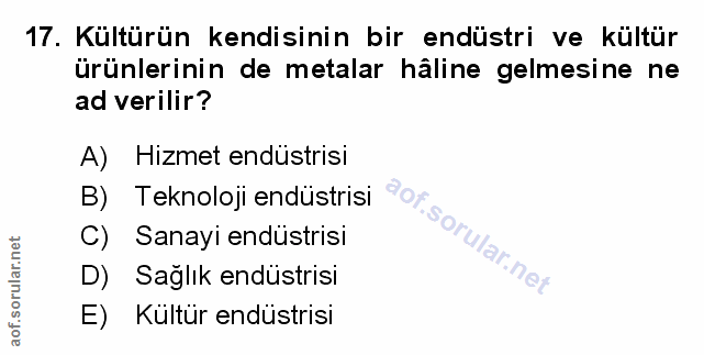 Soru 17