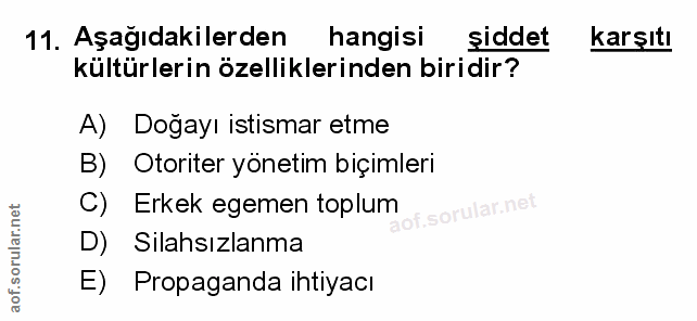 Soru 11