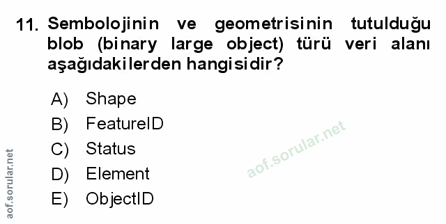 Soru 11