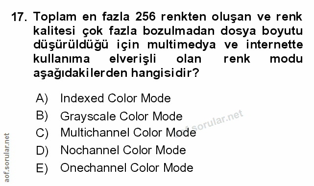 Soru 17