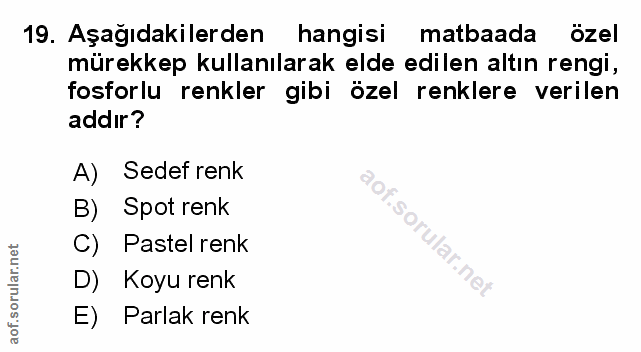 Soru 19