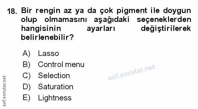 Soru 18