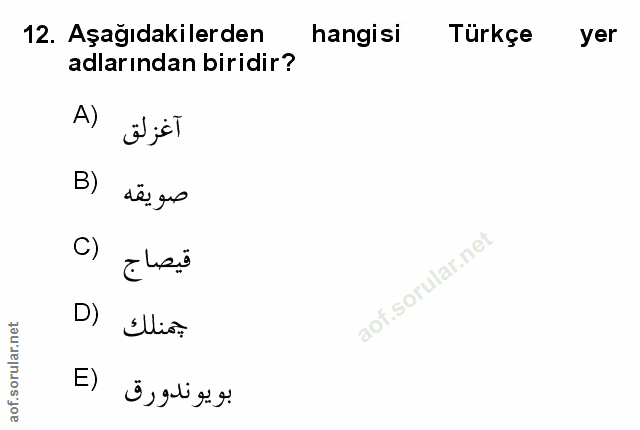Soru 12