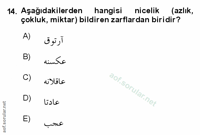 Soru 14