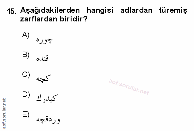 Soru 15