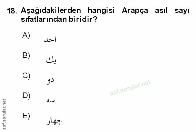 Soru 18