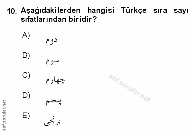 Soru 10
