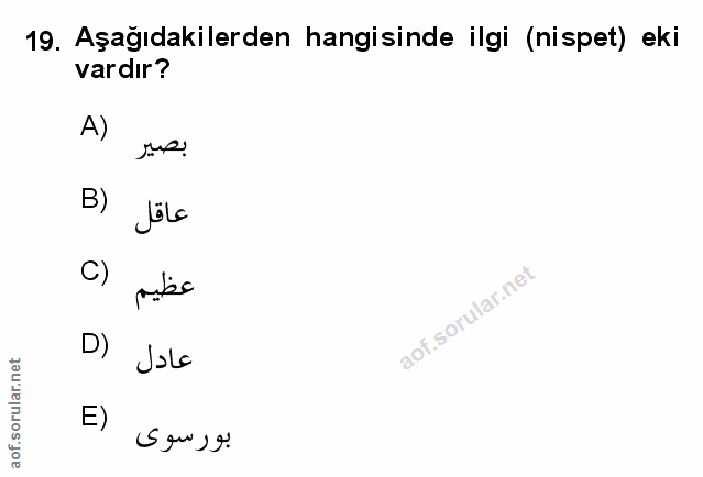 Soru 19