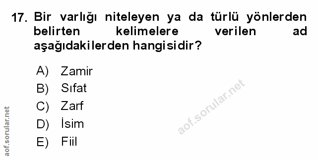 Soru 17