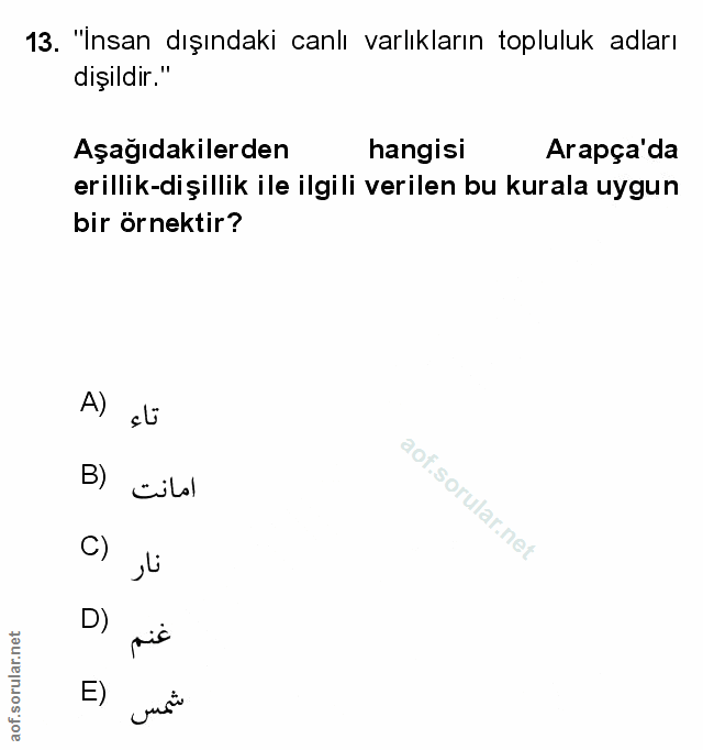 Soru 13