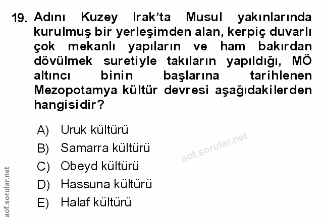 Soru 19