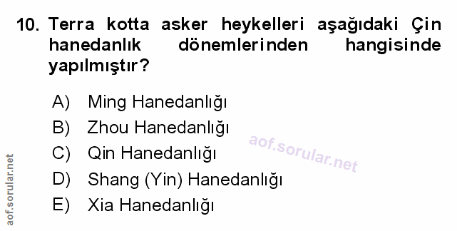 Soru 10
