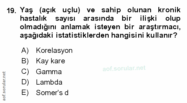 Soru 19