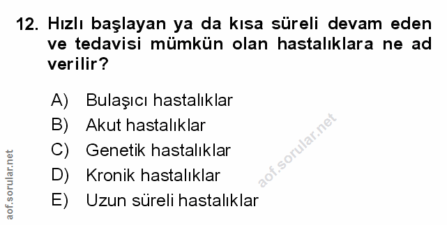 Soru 12