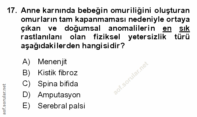 Soru 17