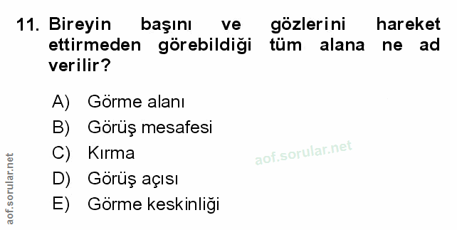 Soru 11