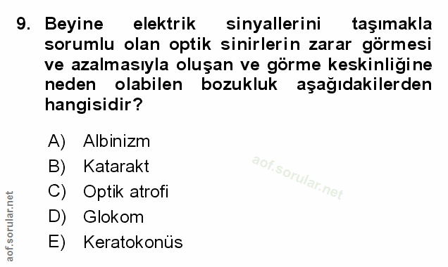 Soru 9