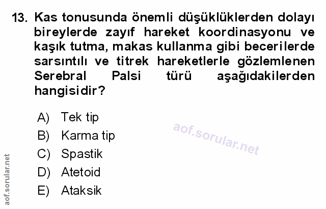 Soru 13