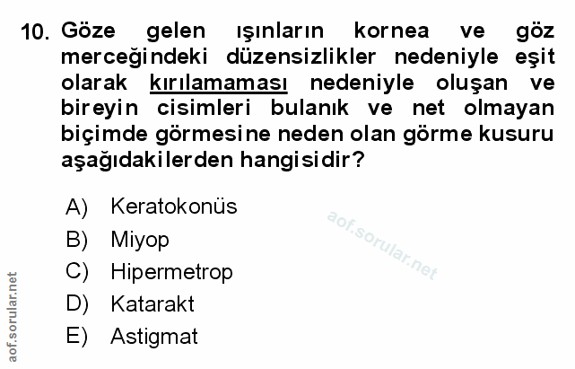 Soru 10