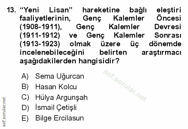 Soru 13