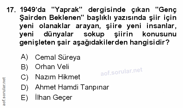Soru 17