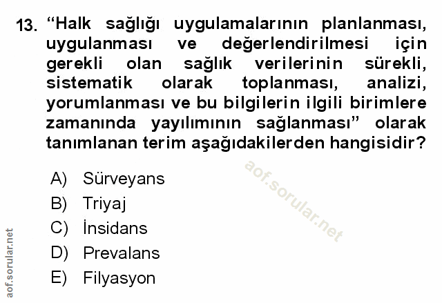Soru 13
