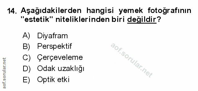 Soru 14