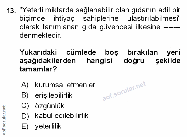 Soru 13