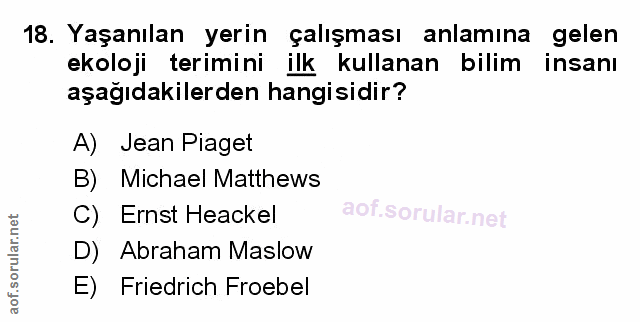 Soru 18