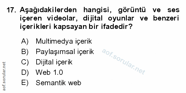 Soru 17