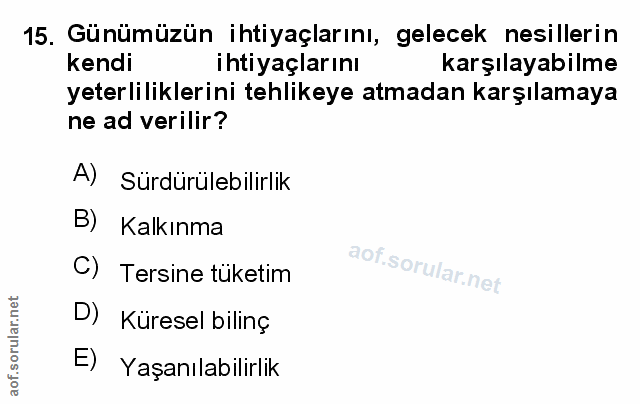 Soru 15
