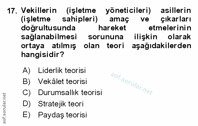 Soru 17