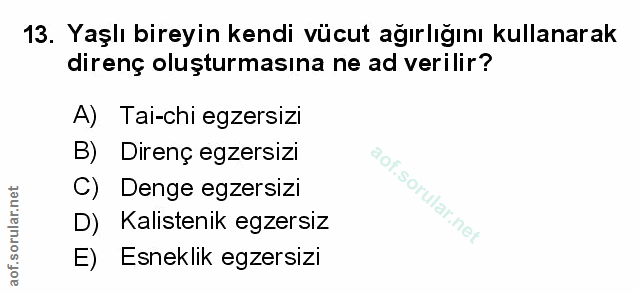 Soru 13