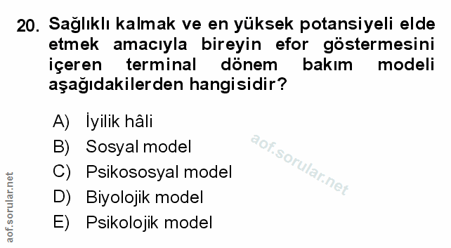 Soru 20