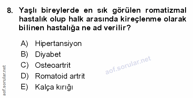 Soru 8