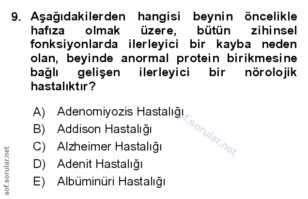Soru 9