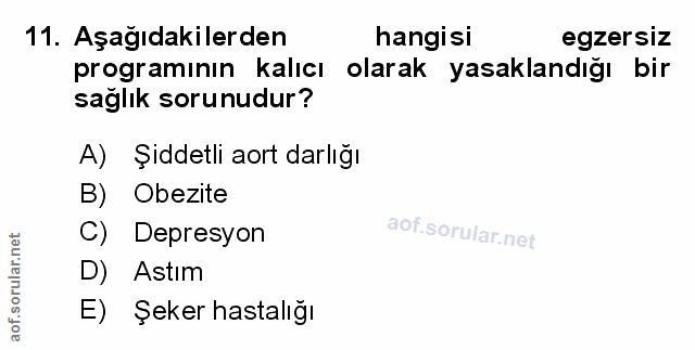 Soru 11