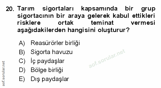 Soru 20