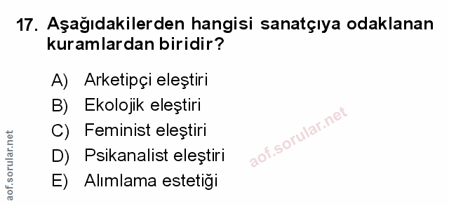 Soru 17