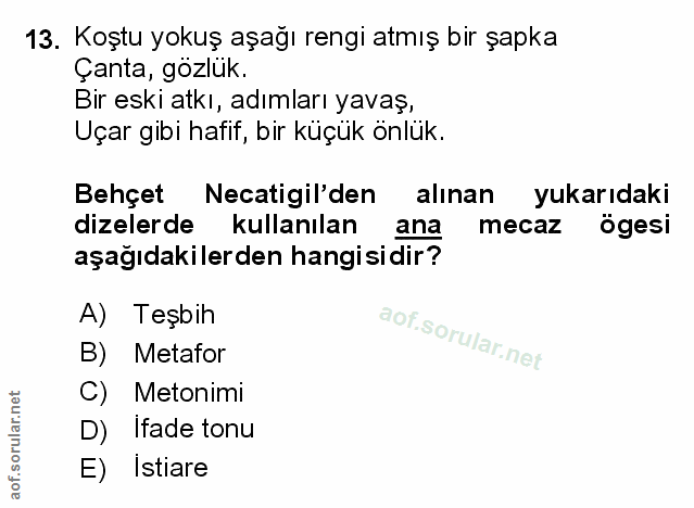 Soru 13