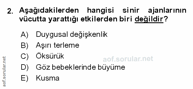 Soru 2