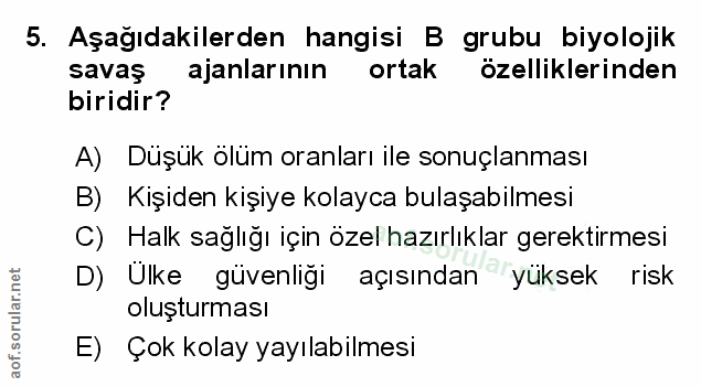 Soru 5